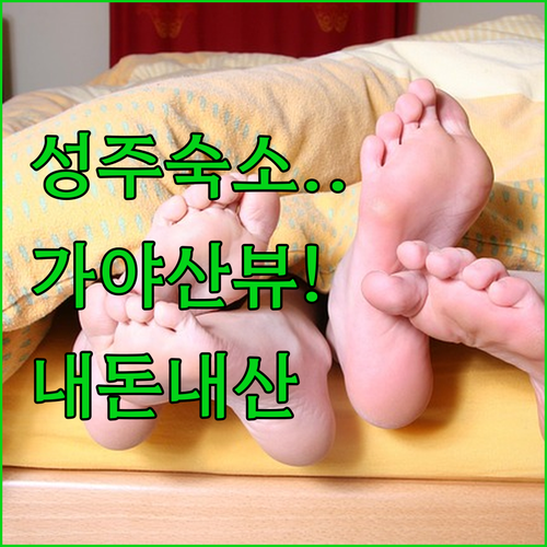 성주 숙소 추천 가야산 펜션부터 가성비 호텔까지 내돈내산 비교 분석