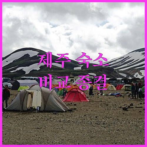 제주 공항 근처 가성비 호텔부터 세화 해변 북카페 스테이까지 숙소별 특징 비교 사진