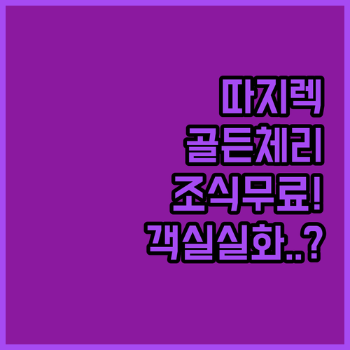 미얀마 따지렉 골든 체리 호텔 무료 조식과 객실 후기 정리