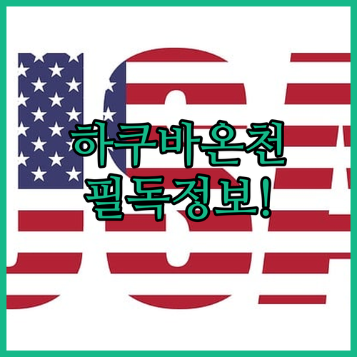 직접 확인한 하쿠바 온천 호텔 5선 객실 사진과 셔틀 서비스 정보