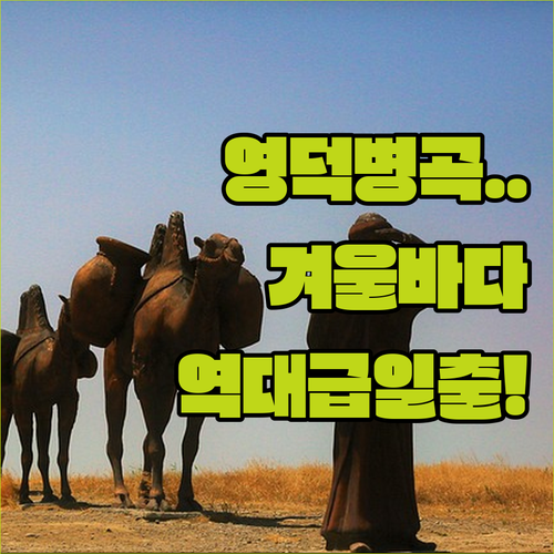 영덕 병곡 카라반 겨울 바다 여행 숙소 시설 및 일출 조망 후기